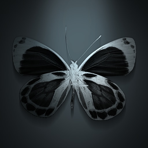 Ein unbekanntes Ergebnis