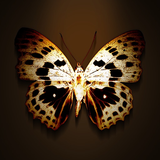 Von der fröhlichen Sorte