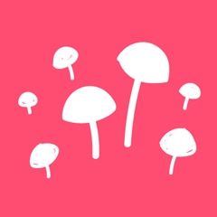 Ein schöner Garten ist das