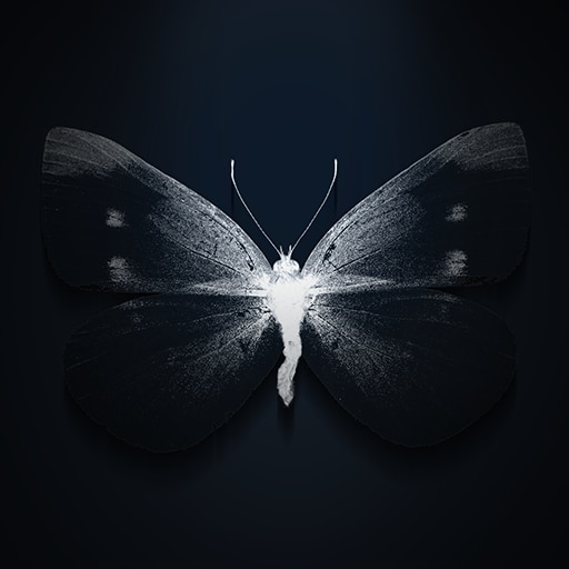 Rätsel der Vergangenheit