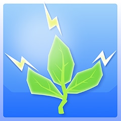 Grüner wird's nicht