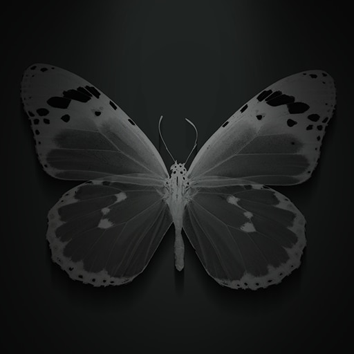 Spieglein, Spieglein an der Wand