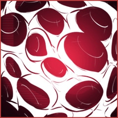 Serbian, Mind of the Beast