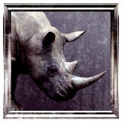 Wildebeest River Crossing