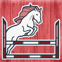 Immer schnell mit den jungen Pferden