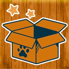 Was ist in der Kiste?