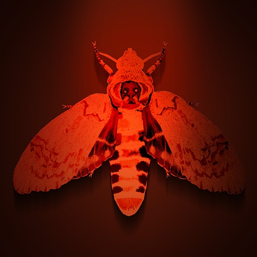 Man kann nicht jeden retten