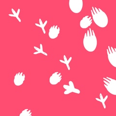 Die Welt ist mein Zoo