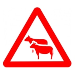 Die Göttliche Technik