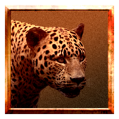 Approach African Buffalo